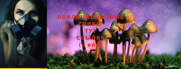 шишки Балахна