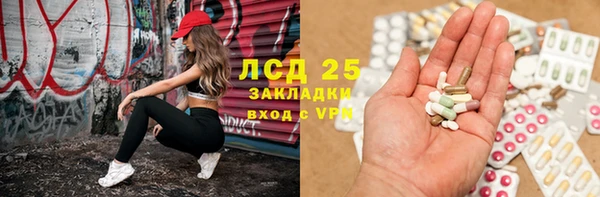шишки Балахна