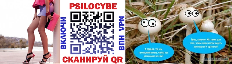 Купить где  Донецк  Псилоцибиновые грибы MAGIC MUSHROOMS 